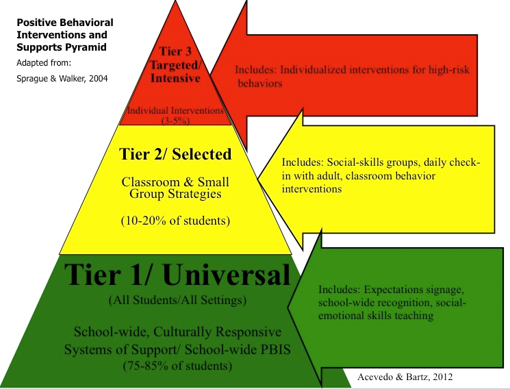 Tier 2 – WVPBIS