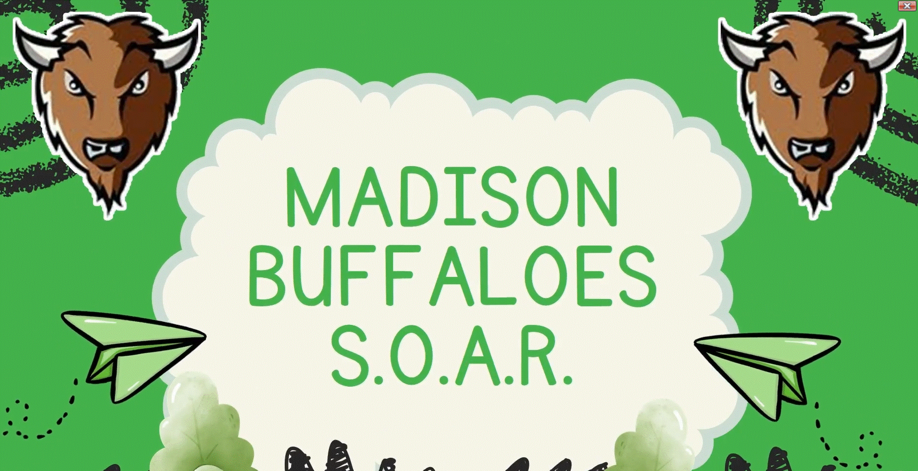 Madison Elementary School SOAR Expectations Examples